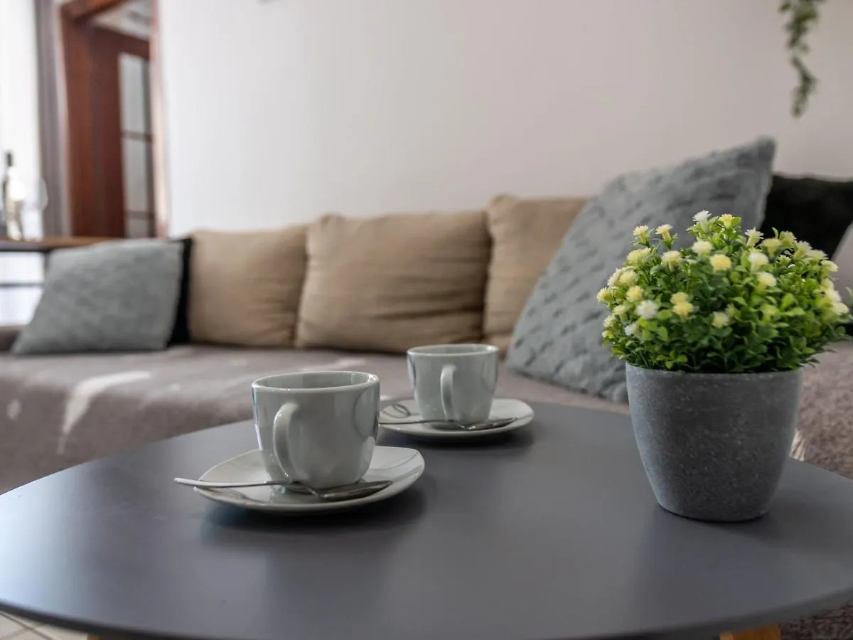 Apartment Viki Pula