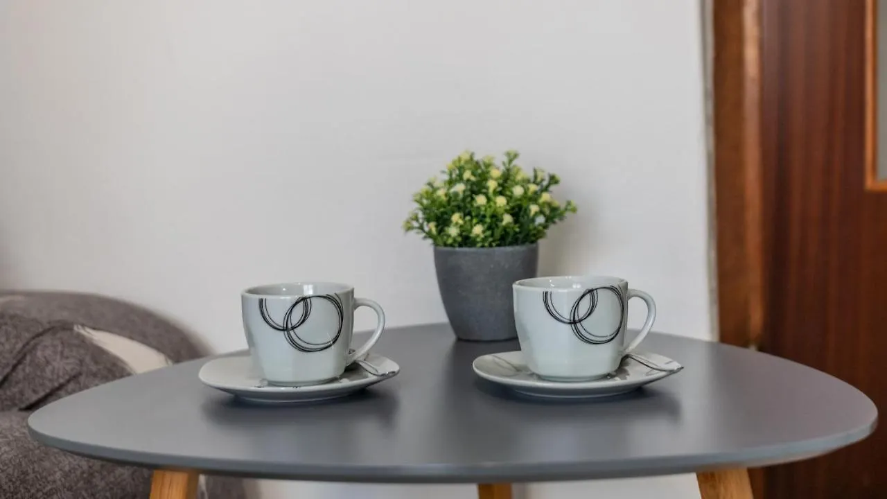 Apartment Viki Pula